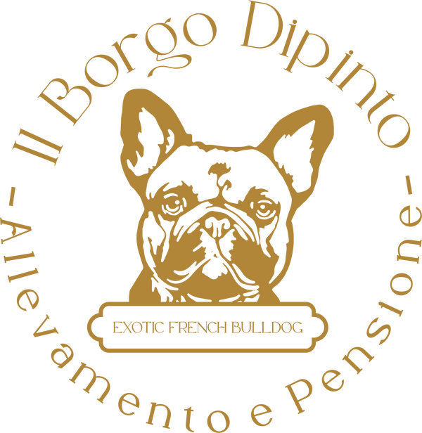 IL BORGO DIPINTO